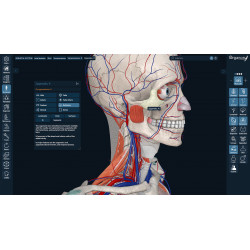 3D Organon for Professionals